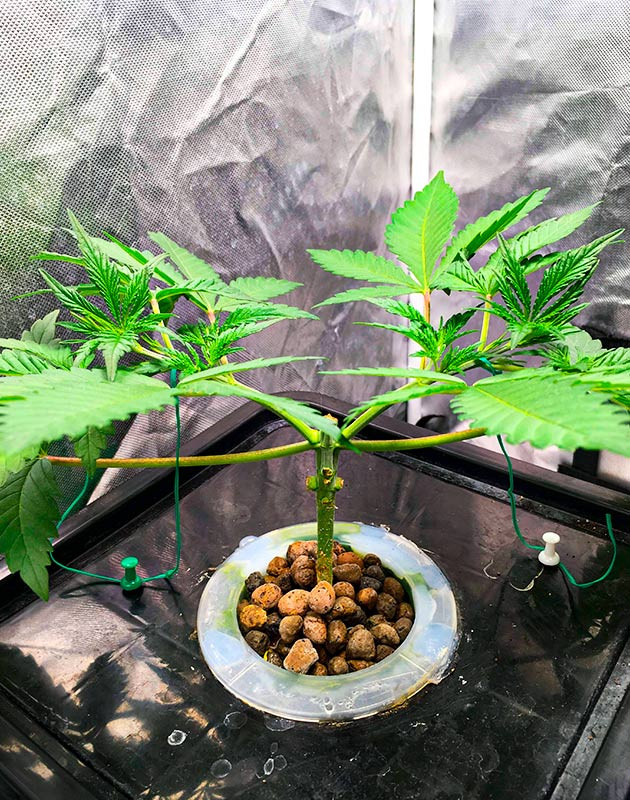 Тренировки и создание оптимальных условий освещения Необходимость тренировок и формирование освещения