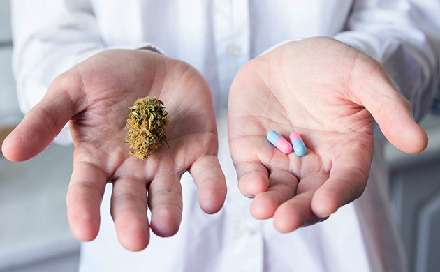 Эффективность воздействия натуральной конопли и лекарств Таблетки и шишка марихуаны