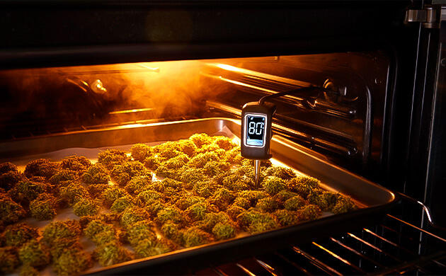 Декарбоксилирование: правильный режим нагрева Декарбоксилирование конопли