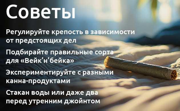 Сатива или индика утром Выбор сорта для утреннего Вейк’н’бейка