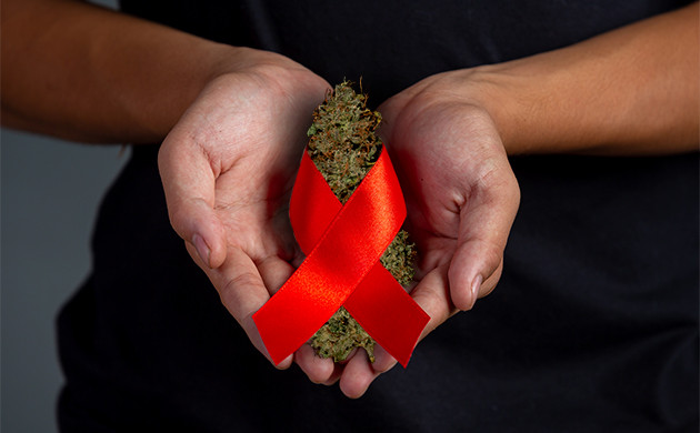 Конопля при борьбе со СПИДом Каннабис и СПИД