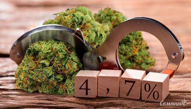 Только у 4,7% потребителей развивается зависимость от каннабиса Только у 4,7% потребителей развивается зависимость от каннабиса