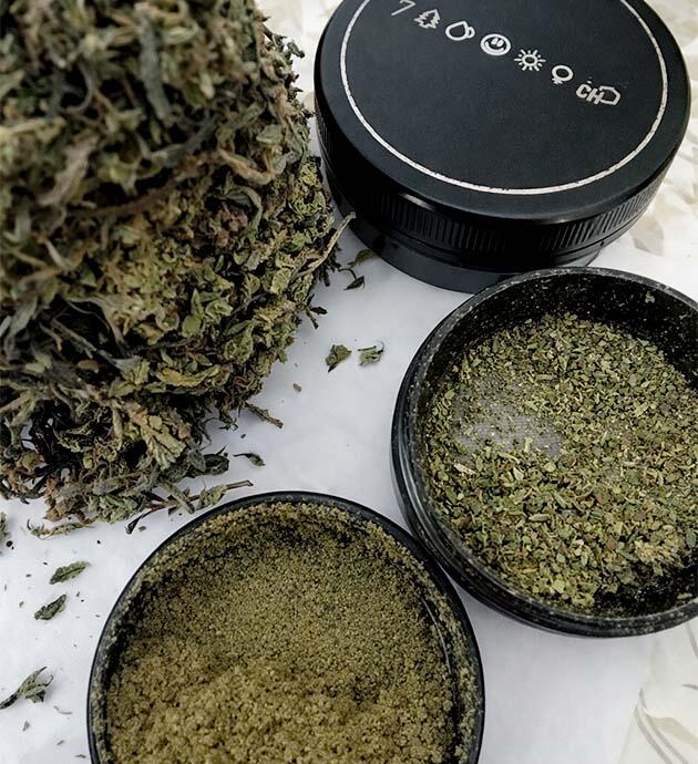 Сушка и измельчение каннабиса для получения хэша и готового продукта Хэш конопли