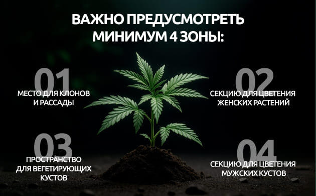 Разделение зон для бридинга конопли Четыре зоны для организации пространства