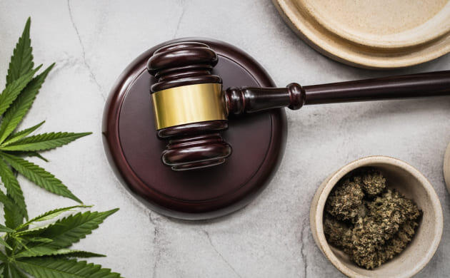 Почему конопляный пластик всё ещё не стал нормой