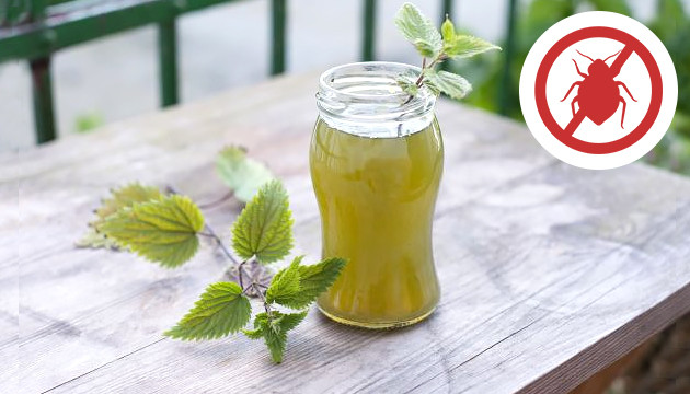 Смесь для борьбы с вредителями Чай из крапивы