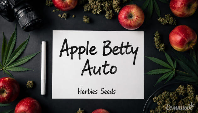Выращивание сорта марихуаны Apple Betty Auto от Herbies Seeds Гроурепорт сорта Apple Betty Auto от Herbies Seeds
