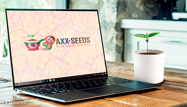 Сидбанк Axxseeds axxseeds семена марихуаны