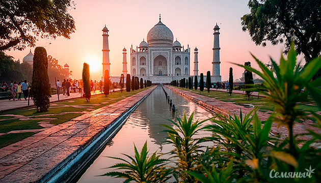 Конопля и культура Индии Родина индичной конопли