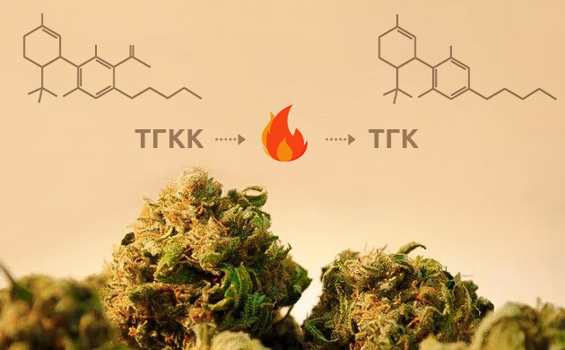 Декарбоксилирование: активация каннабиса Трансформация ТГКК в ТГК: процесс декарбоксилирования