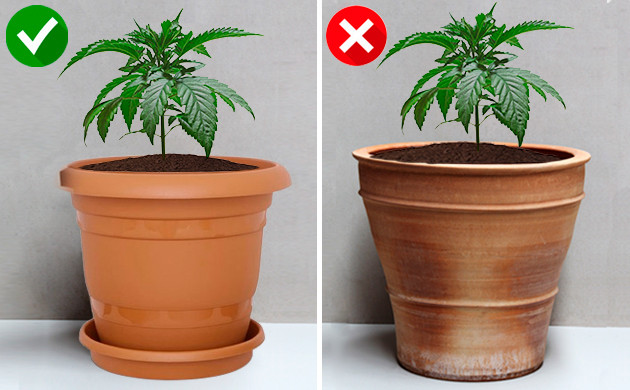 Выращивание в цветочном горшке Горшок с блюдцем и без