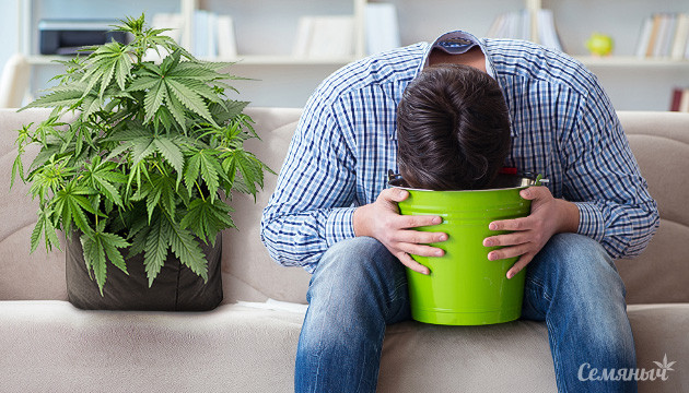 Стратегии преодоления тошноты от конопли