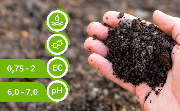 Типы почвы для выращивания каннабиса Оптимальный уровень pH почвы для конопли