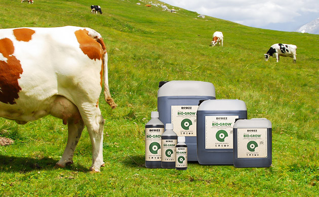 Выращивание на органических удобрениях Органические удобрения для конопли