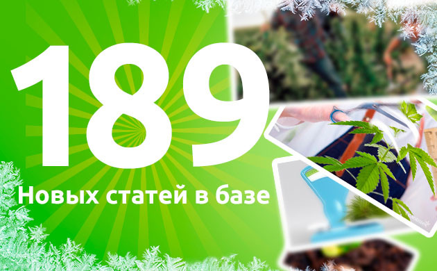 Обновленная информация о выращивании Постоянно обновляемые статьи о выращивании