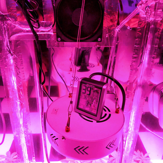 Показатели влажности и температуры Показатели гроубокса