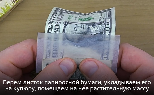 Скручивание травы в купюре Подготовка к скручиванию