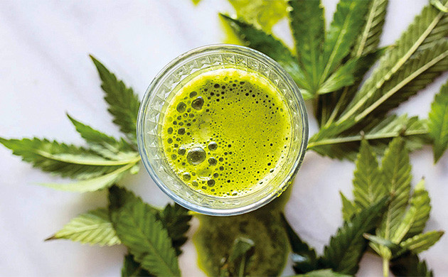 Конопляный сок Сок из листьев конопли