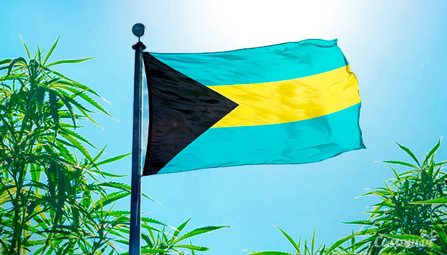 Каннаиндустрия на Багамских островах Легалайз на Багамских островах