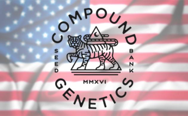 Преимущества Compound Genetics Compound Genetics – представитель американской селекции