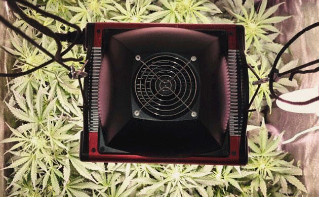 Эффективное управление пространством в гроубоксе Организация проводов в системе выращивания