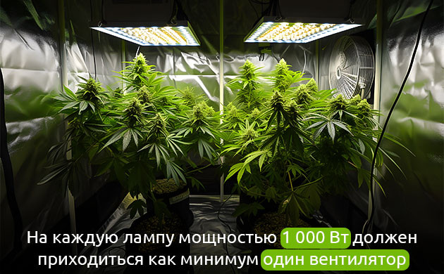 Важность вентиляции для каннабиса Циркуляция воздуха и здоровье растений