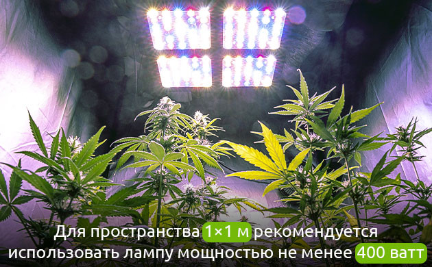 Интенсивность света и пространство Освещение для максимального урожая