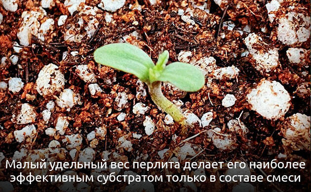 Применение перлита в гидропонных установках Зернистый перлит для гидропонной системы