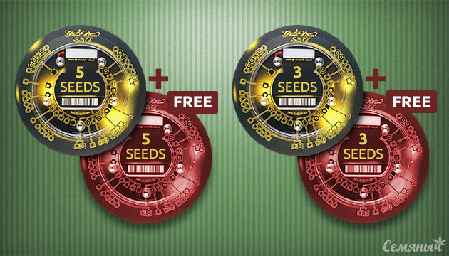 Акция от Green House Seeds Подарочные упаковки Green House Seeds