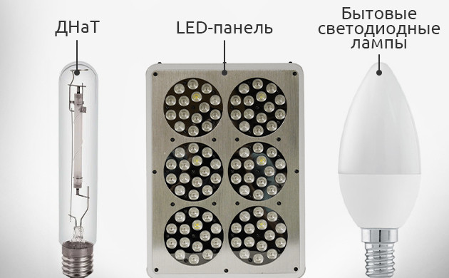 Правильное освещение типы ламп для гровинга