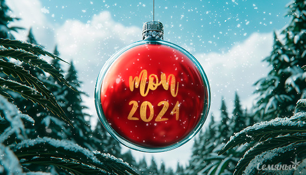 ТОП 10 сортов 10 сортов за 2024 год