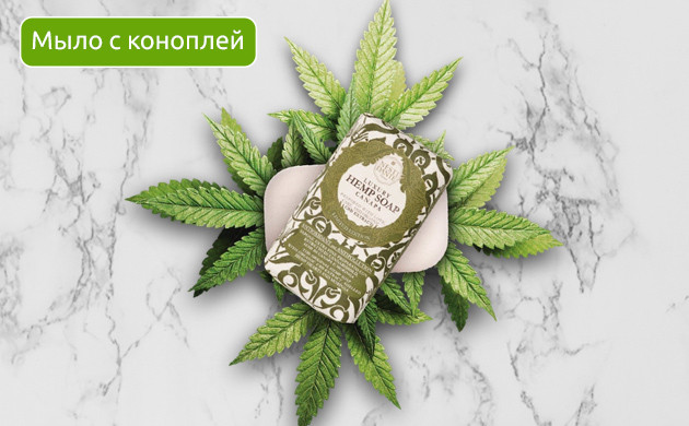 Бодрость и настроение: итальянское мыло Мыло с конопляным маслом: питание и увлажнение