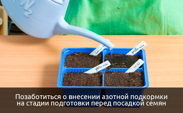 Внесение азотной подкормки Обогащение питательной среды азотом