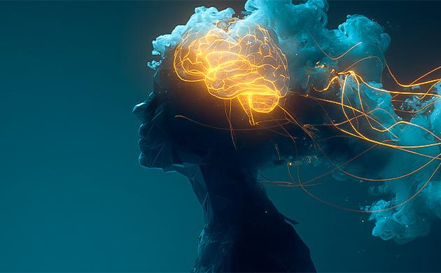 Адаптогены поддерживают внутреннюю антистрессовую систему организма Адаптогены регулируют ГГН-ось и помогают справляться со стрессом