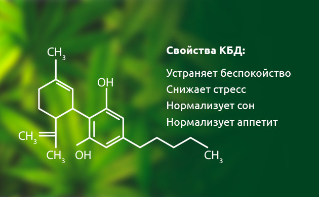 Положительные свойства КБД Свойства каннабидиола