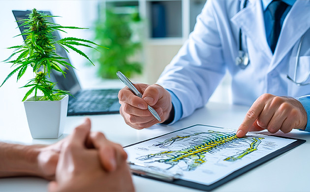 Взаимодействие каннабидиола и эндоканнабиноидной системы КБД и снятие болевых ощущений