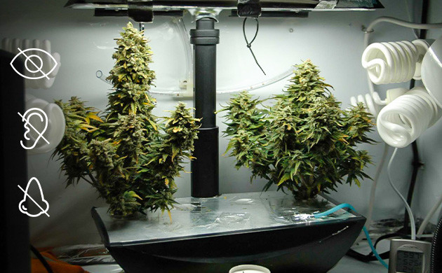 Требования к стелс-боксу Каким должен быть стелс бокс