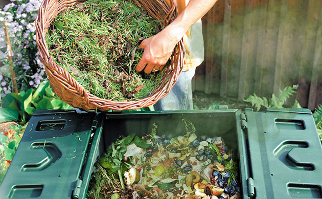 Возможные проблемы с компостом Ошибки при компостировании