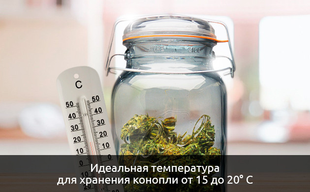 Температура для конопли Идеальная температура для хранения