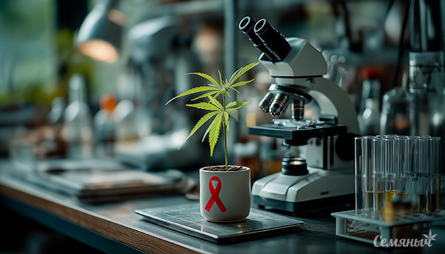 Наука доказала: конопля помогает при онкологии Каннабис и рак: подтверждена эффективность терапии