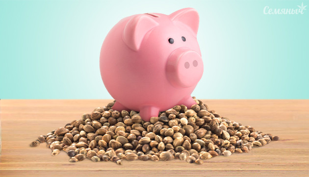 Подборка недорогих сортов марихуаны Недорогие сорта