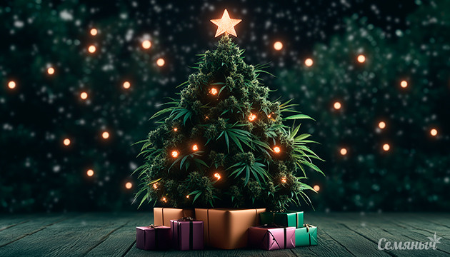 Подарки на новый год Акция Новый год 2025