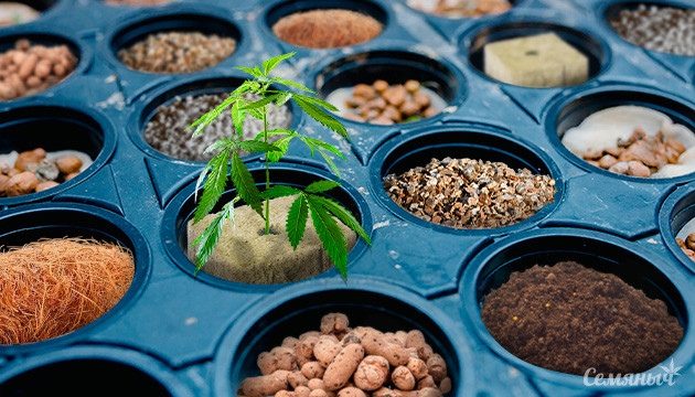 Субстраты для гидропоники