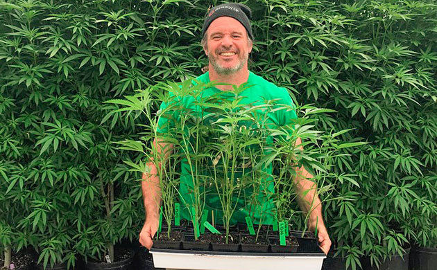 Кевин Джодри – гровер, селекционер и исследователь каннабиса Кевин Джодри