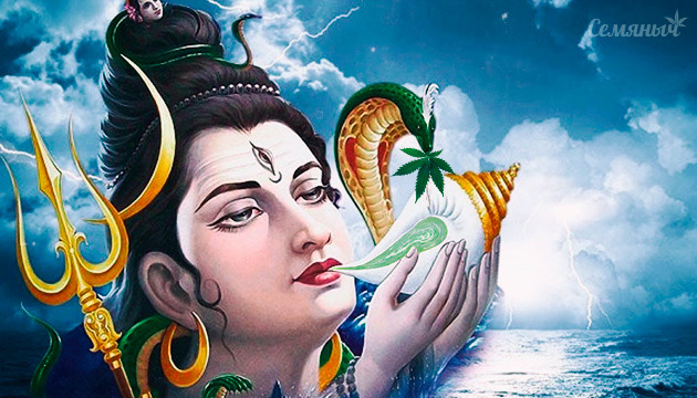 Индийский напиток бханг Шива и бханг