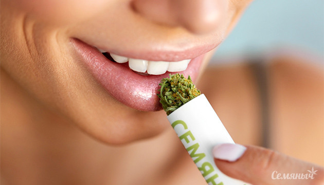 Рецепт гигиенической помады с КБД Рецепт гигиенической помады с КБД