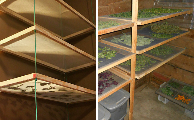Полки для сушки конопли своими руками Сушка для марихуаны своими руками