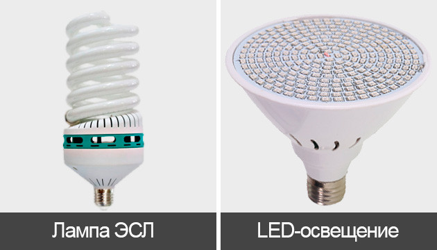 ЭСЛ и LED лампы Лампы ESL и LED для конопли