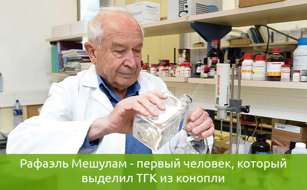 Исследователь каннабиса Рафаэль Мешулам Рафаэль Мешулам
