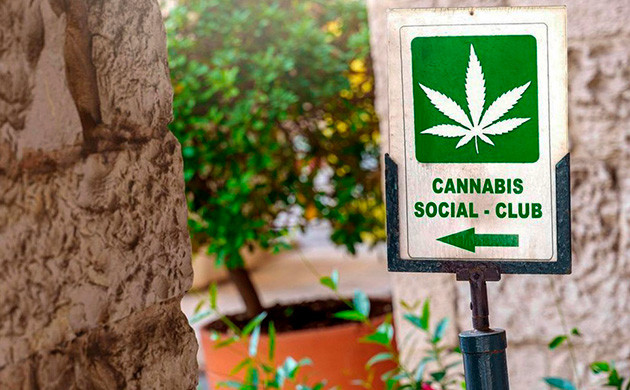 Философия каннабис-клубов Социальные каннабис-клубы в Германии